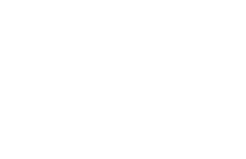rovio
